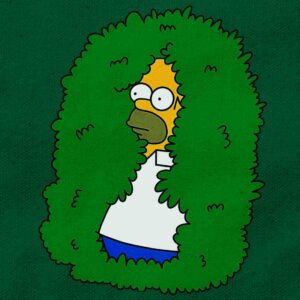 Social Anxiety Homer Bush Meme | Green Regular Fit Pocket Print T-Shirt | OoltaSeedha.com